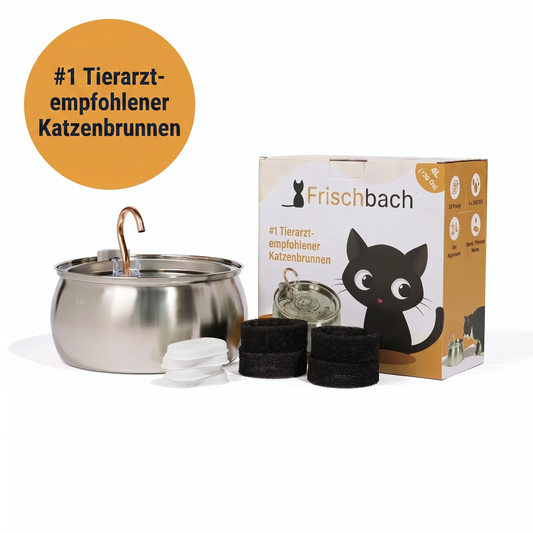Gesundheits- und Wohlfühl-Set für Katzen
